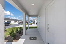 Machol Haven Home (Shaddy Brook) 🐶 - Image 4