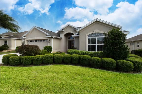 Fieldbrook Cozy Designer (Pinellas) 🐶 - Image 2
